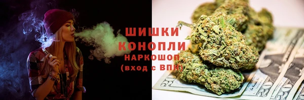 гидропоника Алзамай