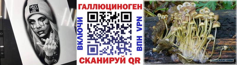 Галлюциногенные грибы Psilocybe Яблоновский