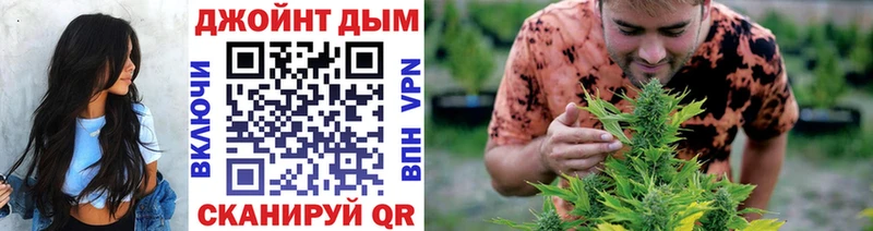 Канабис планчик Яблоновский